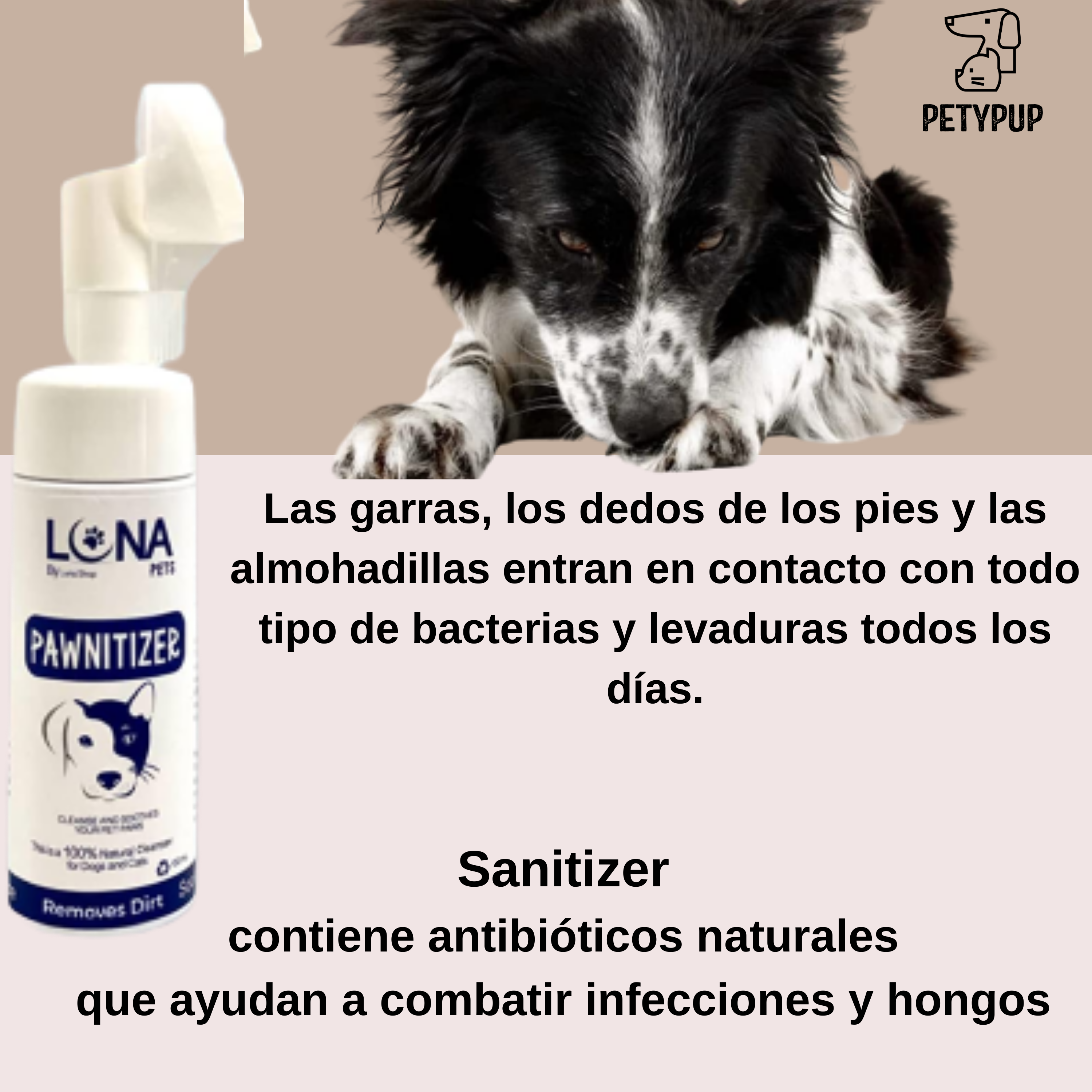 Espuma limpiadora y desinfectante para patas de perros y gatos + Shampoo PetyPup Para Perros - Alivia la Picazón y la Resequedad a base De Avena Y Miel 🧴🍯🐶