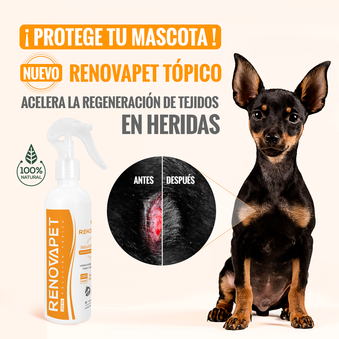 🐾 RENOVAPET TÓPICO- Adiós Picazón y Ácaros Solución Dérmica Para Animales Pague 2 Lleve 3 🐶🐱🐎