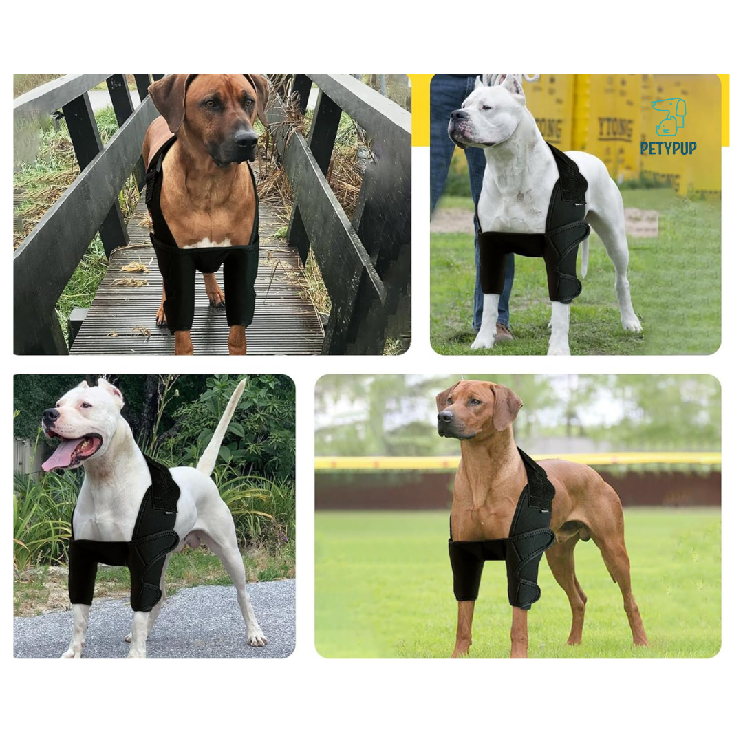 Rodilerras para perros 🦴🐕‍🦺