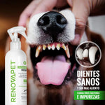 🐾RENOVAPET 🐶 Adiós Al Sarro 😻