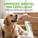 🐾RENOVAPET 🐶 Adiós Al Sarro 😻