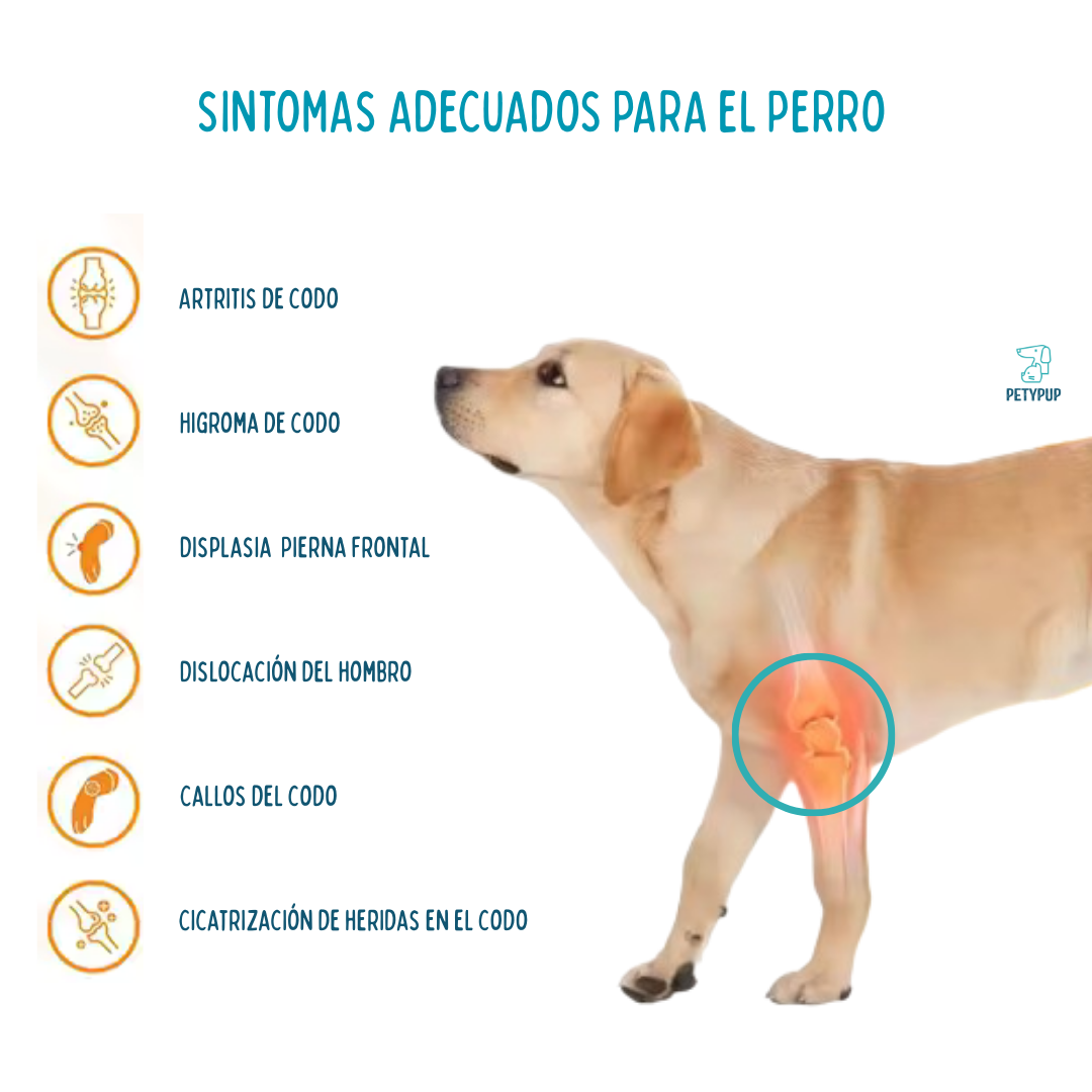 Rodilerras para perros 🦴🐕‍🦺