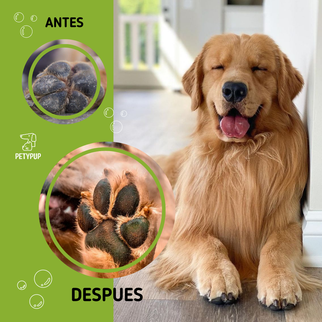 Pague 2 Espuma limpiadora y desinfectante para patas de perros y gatos  y Lleve GRATIS 1 Renovapet Oral