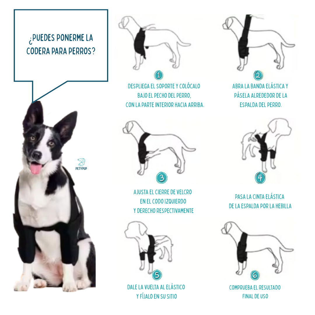 Rodilerras para perros 🦴🐕‍🦺