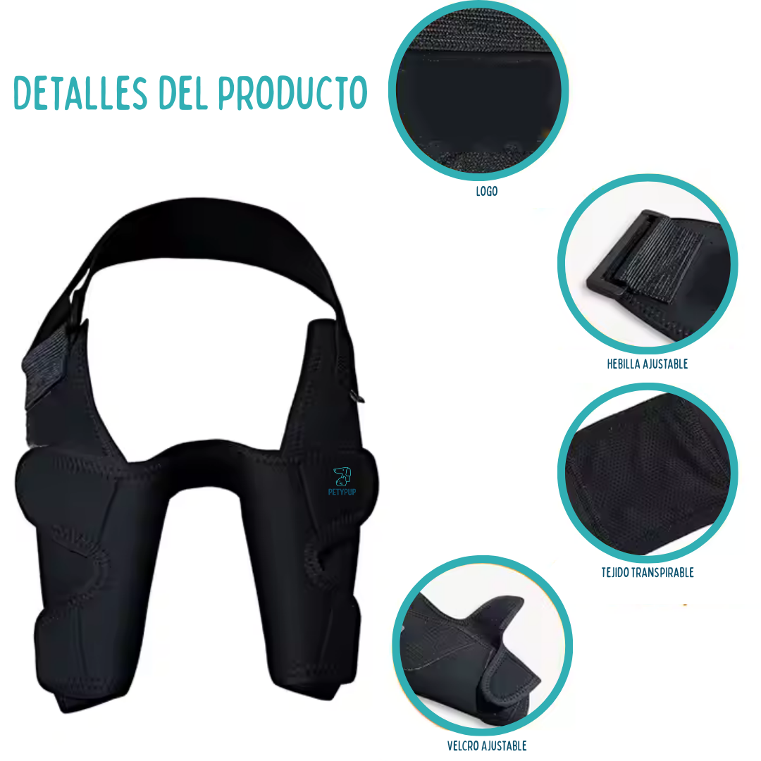 Rodilerras para perros 🦴🐕‍🦺