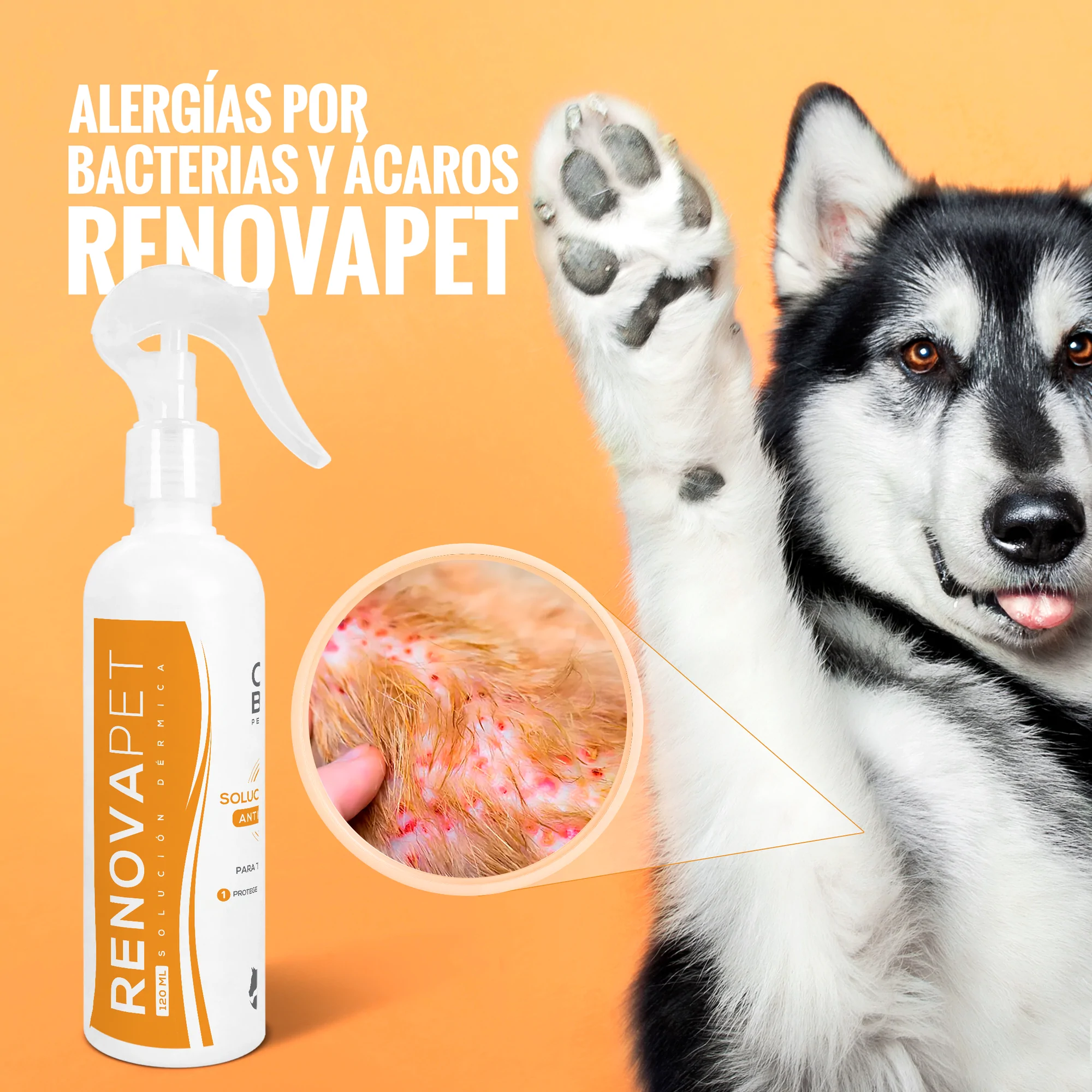 Paga Renovapet Oral + Renovapet Tópico LLEVA GRATIS OCUPET.