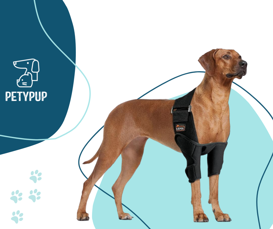 Rodilerras para perros 🦴🐕‍🦺