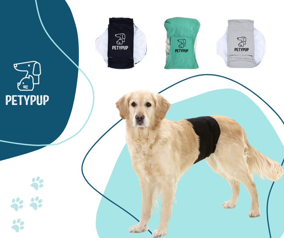 🐾 Pañal Ecológico, Lavable y Reutilizable Para Perros Machos 🦮🐕‍🦺