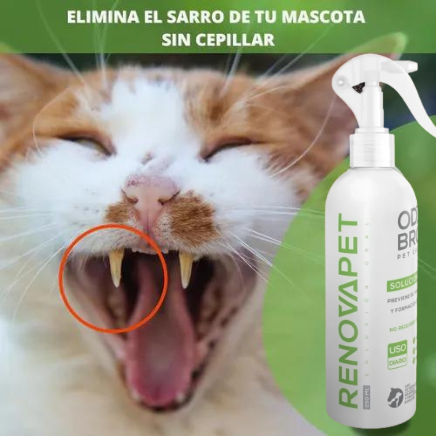 Pague 2 🐾RENOVAPET 🐶 Adiós Al Sarro 😻 Lleva GRATIS 1  ÖCUPET Adiós A Las Manchas De Los Ojos Para Mascotas 🐶👀
