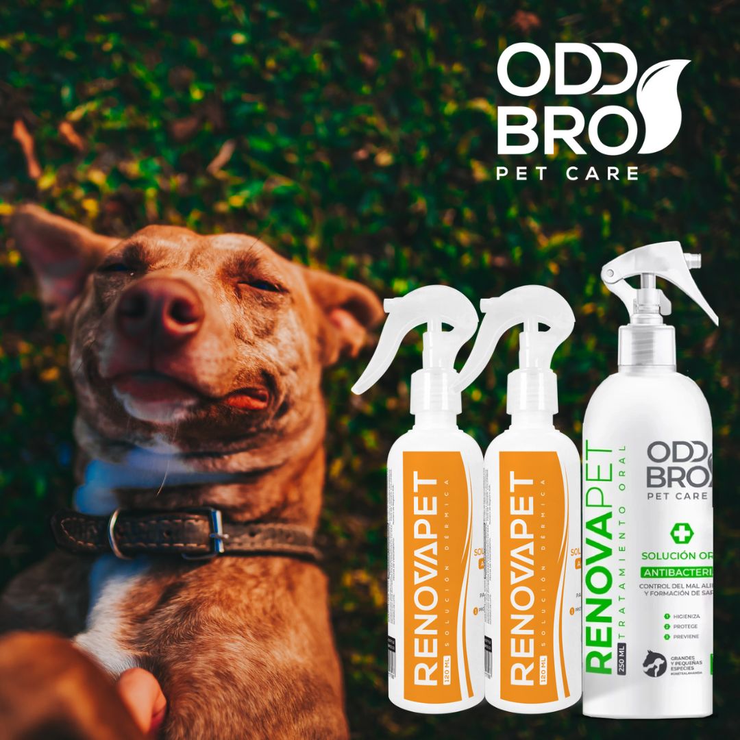 Paga 2 🐾 RENOVAPET TÓPICO Adios Picazón y Ácaros y Lleva GRATIS 1 botella de  🐾 RENOVAPET ORAL Adiós Al Sarro 🐶😻