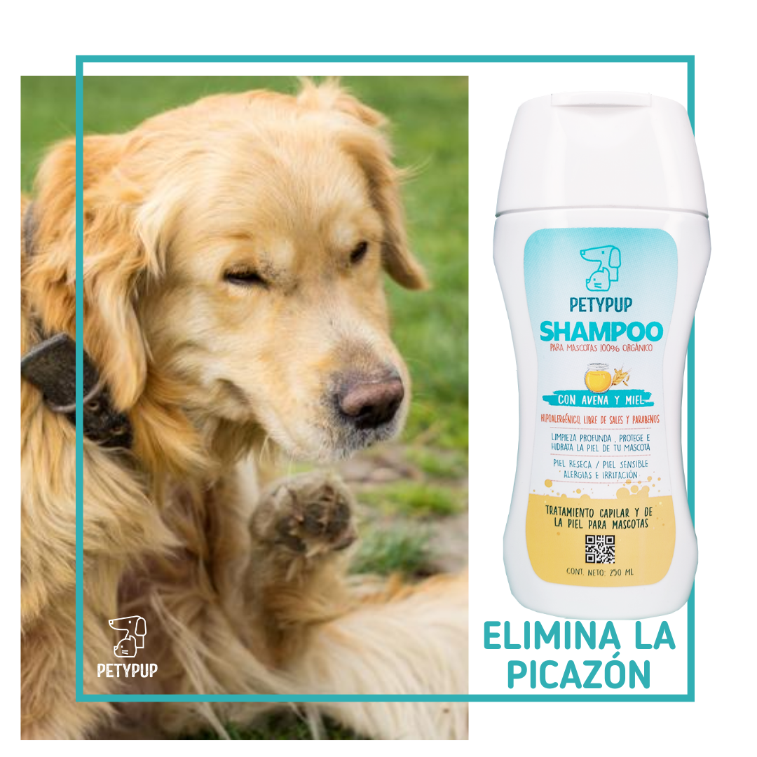 Pague 2 Lleve 3 Shampoo PetyPup Para Perros - Alivia la Picazón y la Resequedad a base De Avena Y Miel 🧴🍯🐶