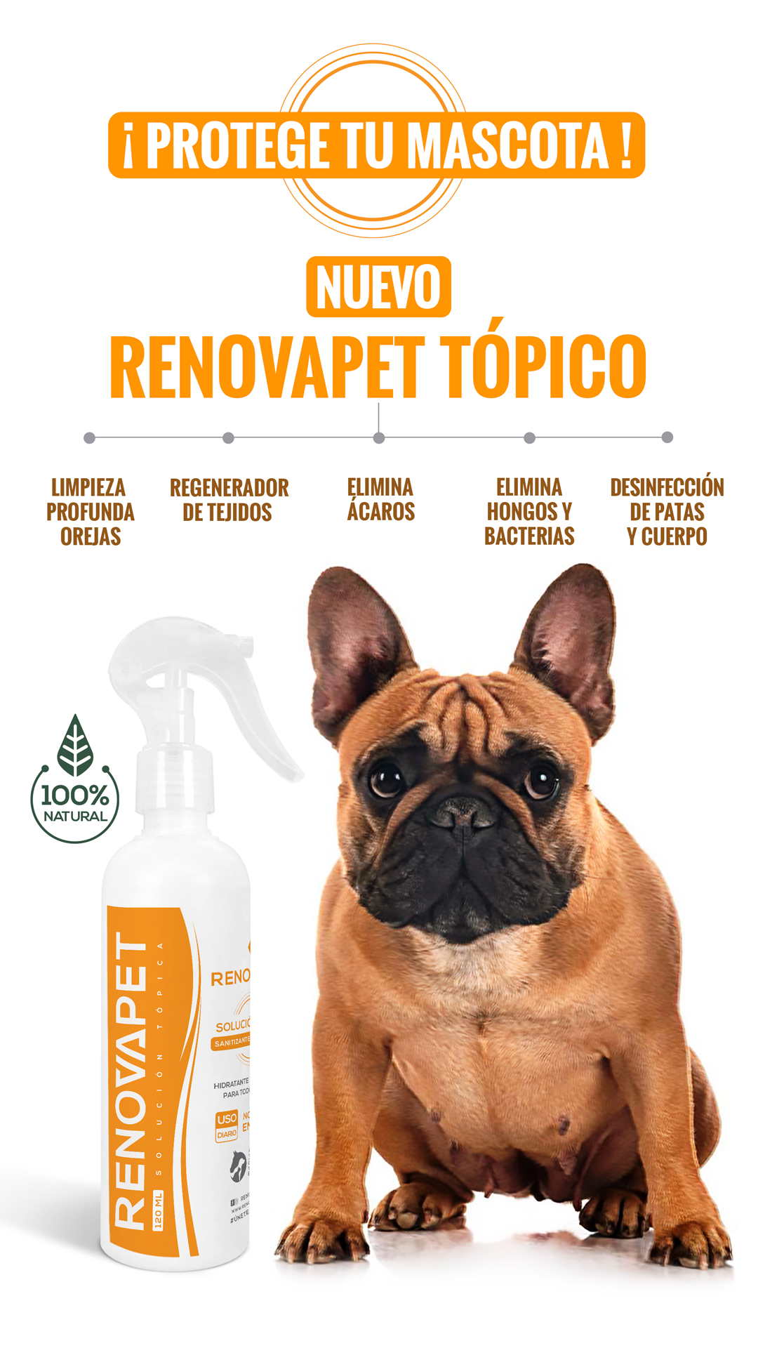 RENOVAPET TÓPICO Solución Dérmica Para Animales + ÖCUPET Adiós A Las Manchas De Los Ojos Para Mascotas 🐶👀