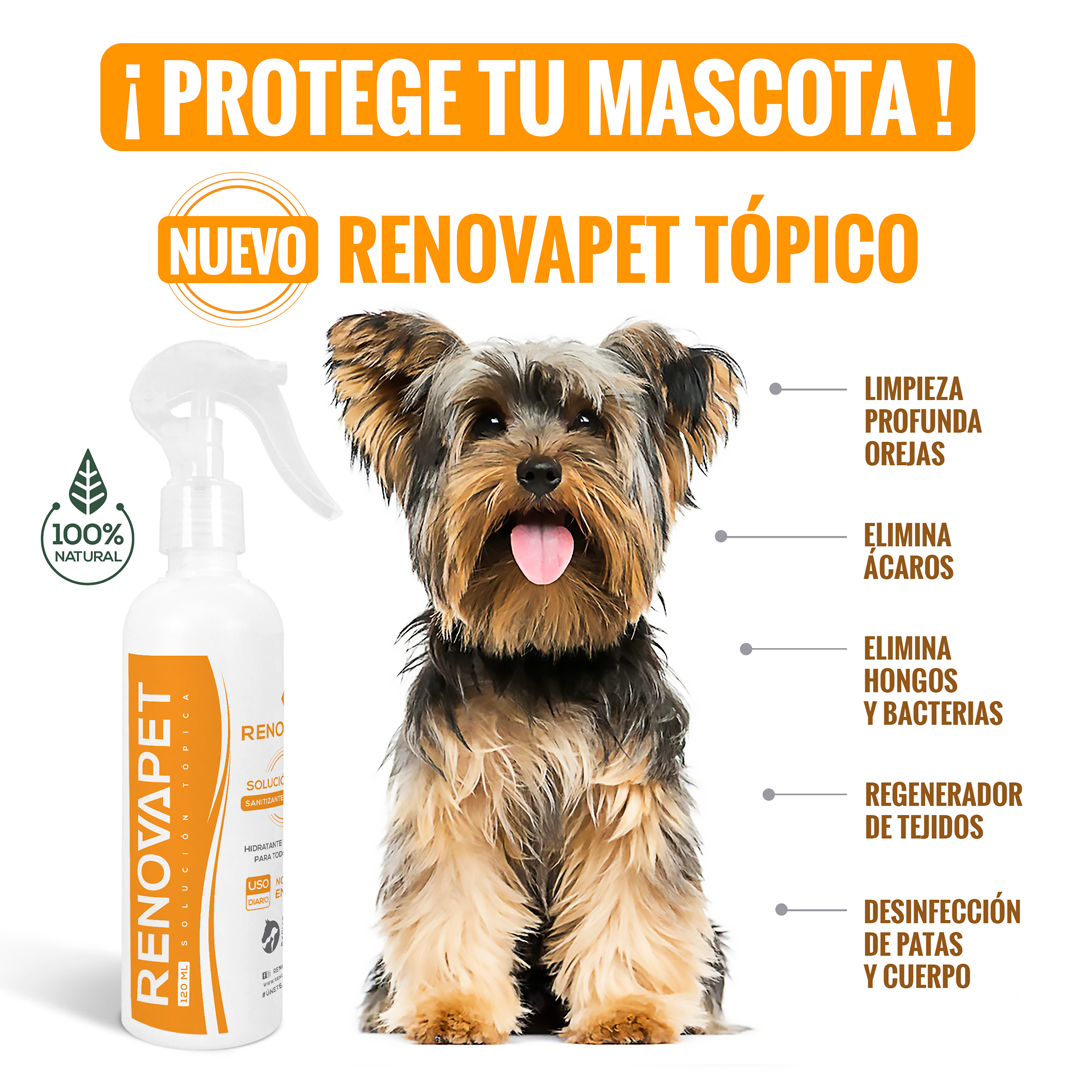 🐾 RENOVAPET TÓPICO- Adiós Picazón y Ácaros Solución Dérmica Para Animales Pague 2 Lleve 3 🐶🐱🐎