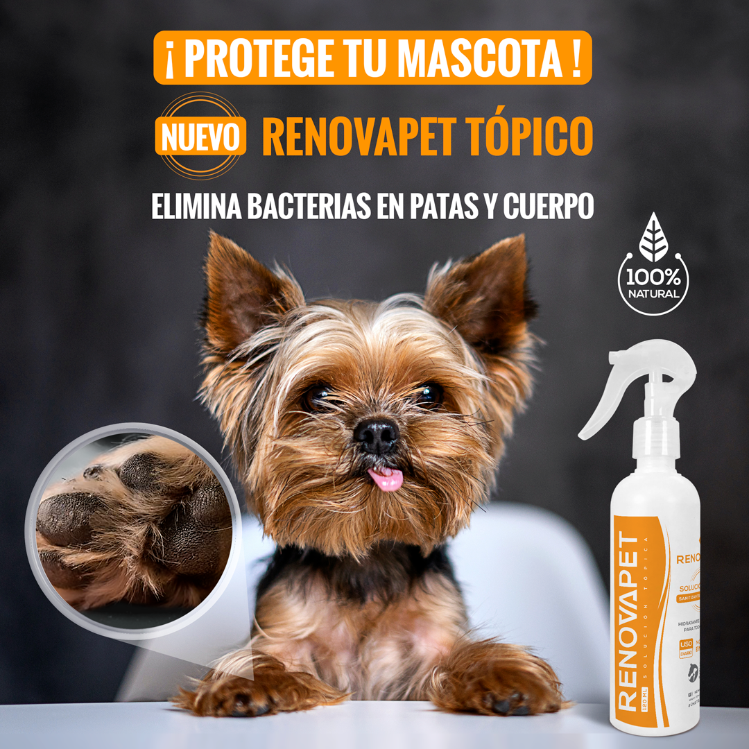 Pague 2Espuma limpiadora y desinfectante para patas de perros y gatos y Lleve GRATIS 1 Renovapet Tópico