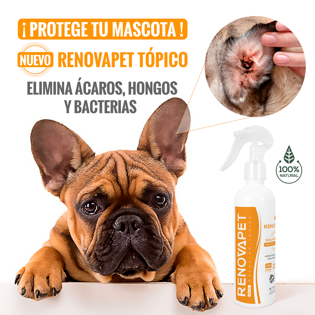 🐾 RENOVAPET TÓPICO- Adios Picazón y Ácaros Solución Dérmica Para Animales 🐶🐱🐎