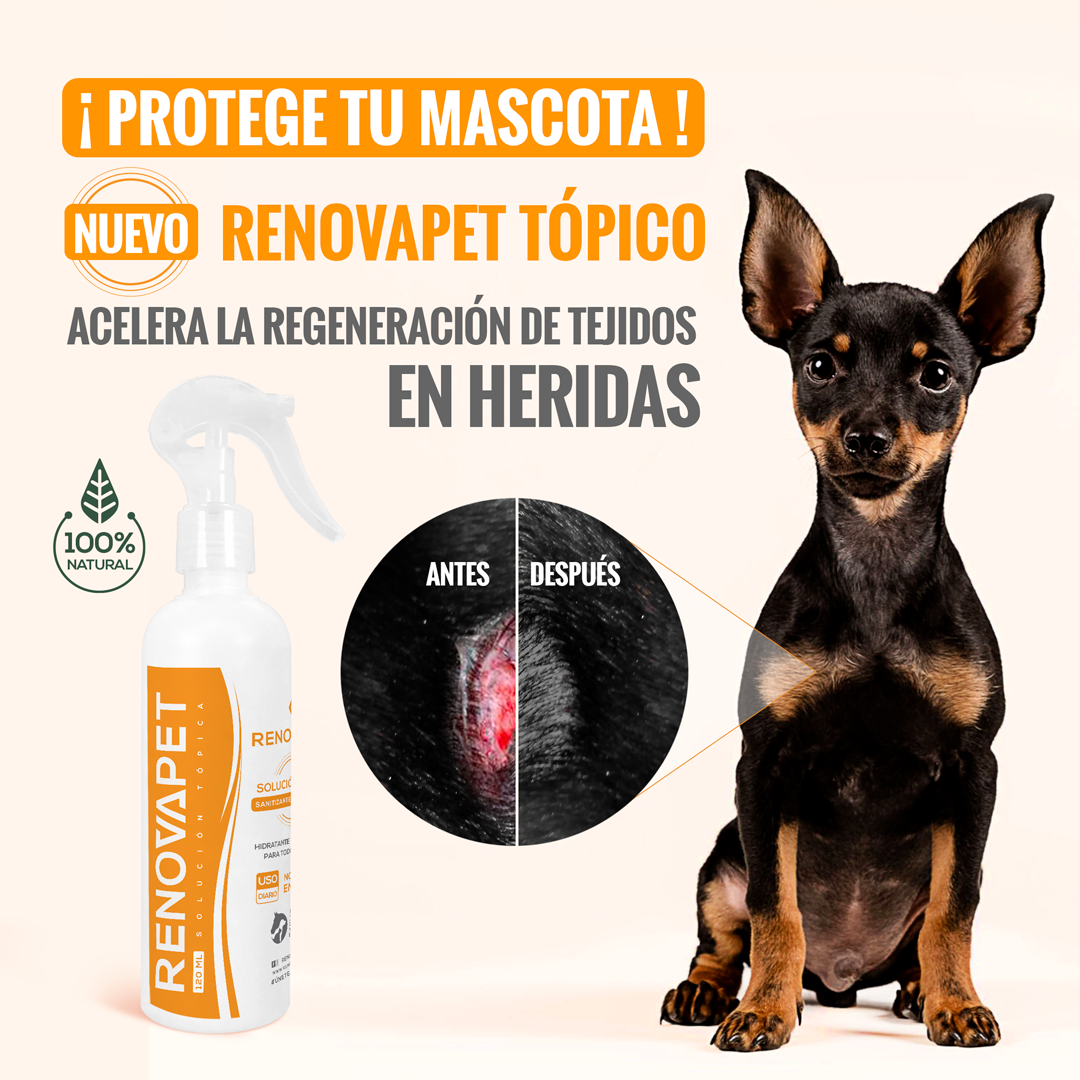 Pague 2 Espuma Limpiadora y Lleve GRATIS 1 Renovapet Topico + 2 Toallas Limpiadoras