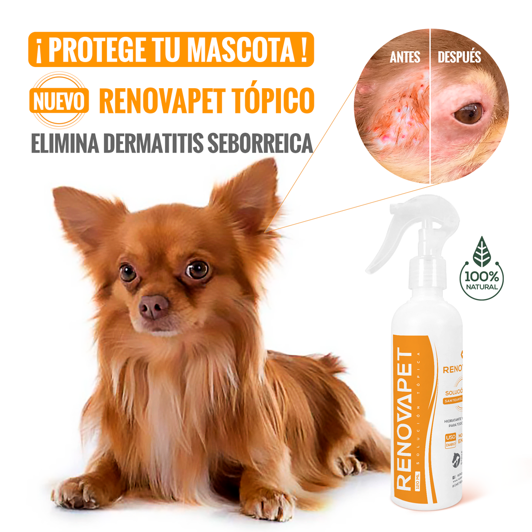 🐾 RENOVAPET TÓPICO- Adiós Picazón y Ácaros Solución Dérmica Para Animales Pague 2 Lleve 3 🐶🐱🐎