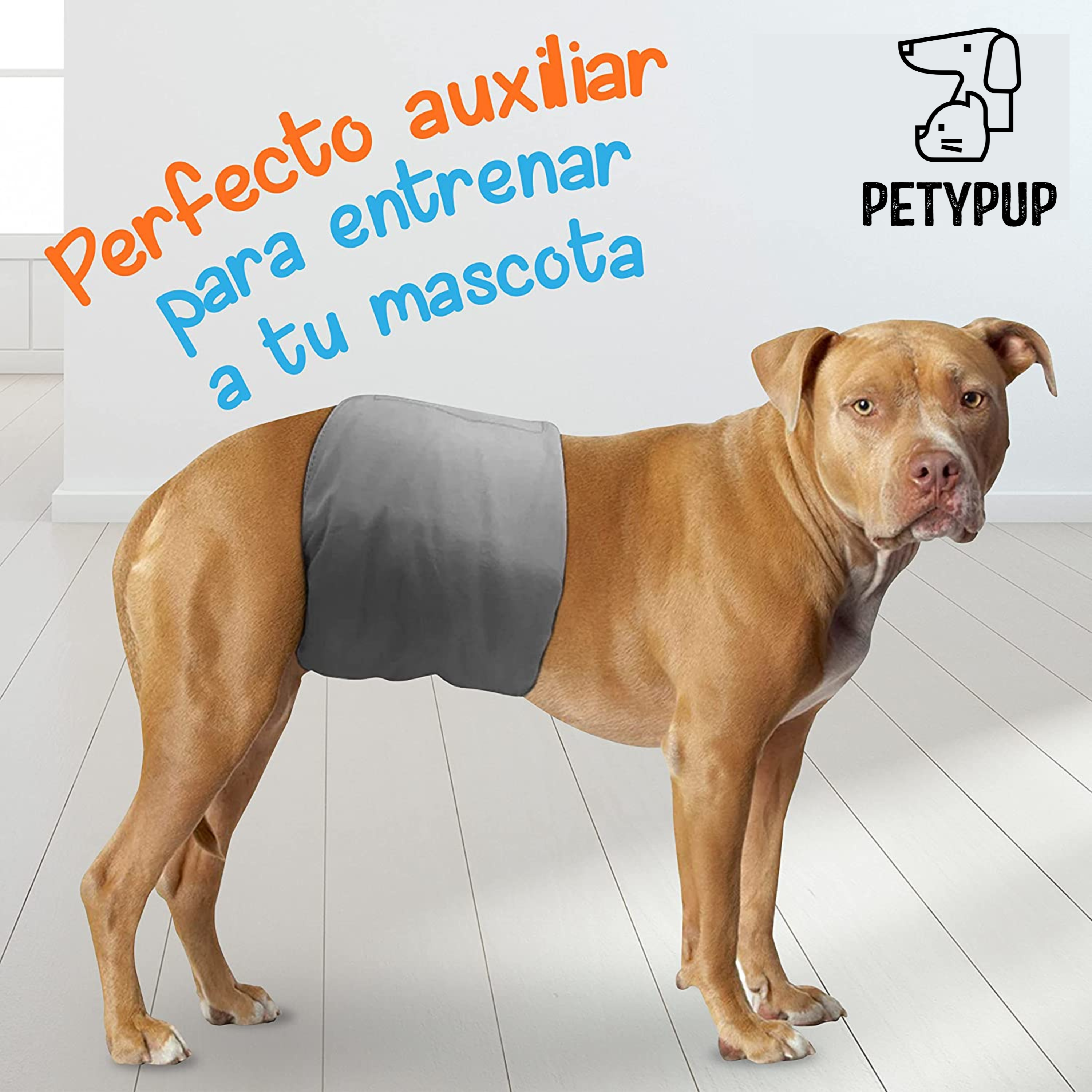 🐾 Pañal Ecológico, Lavable y Reutilizable Para Perros Machos 🦮🐕‍🦺