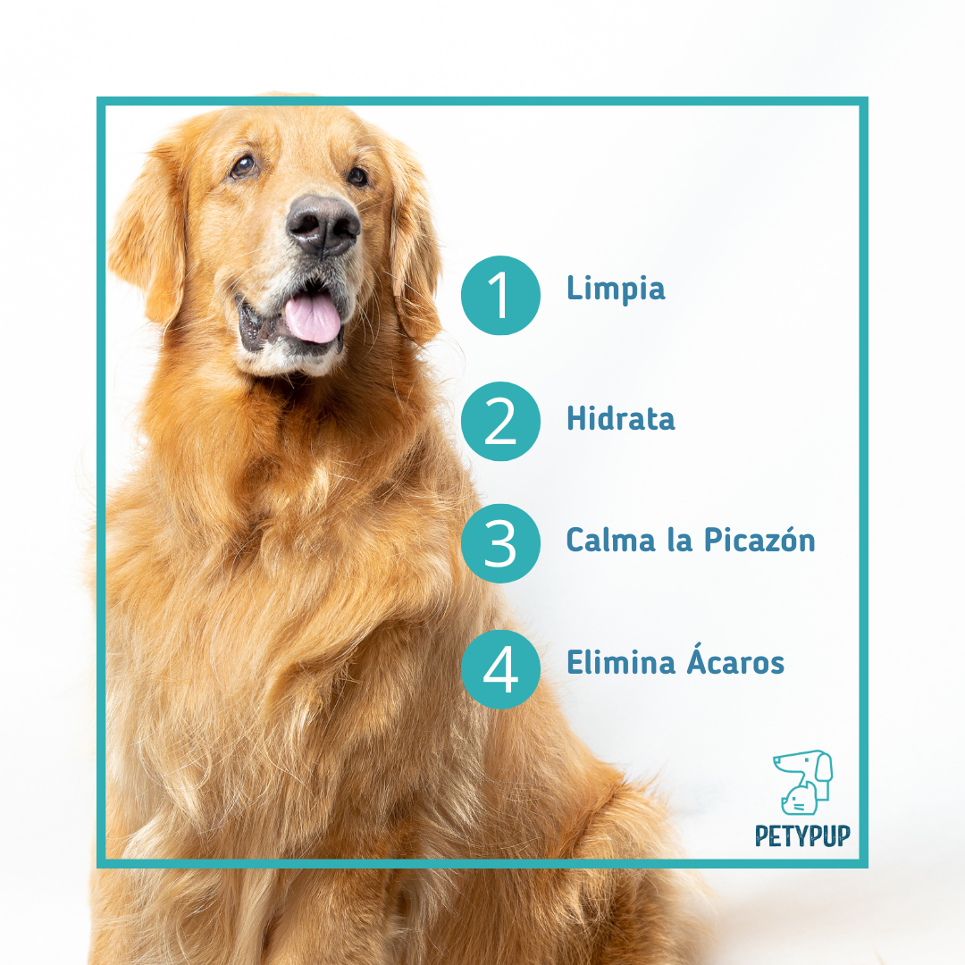 Pague 2 Lleve 3 Shampoo PetyPup Para Perros - Alivia la Picazón y la Resequedad a base De Avena Y Miel 🧴🍯🐶