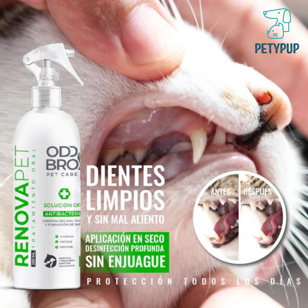 Paga 2 🐾RENOVAPET ORAL Adiós Al Sarro 🐶😻 y Lleva GRATIS 1 botella de 🐾 RENOVAPET TÓPICO Adios Picazón y Ácaros