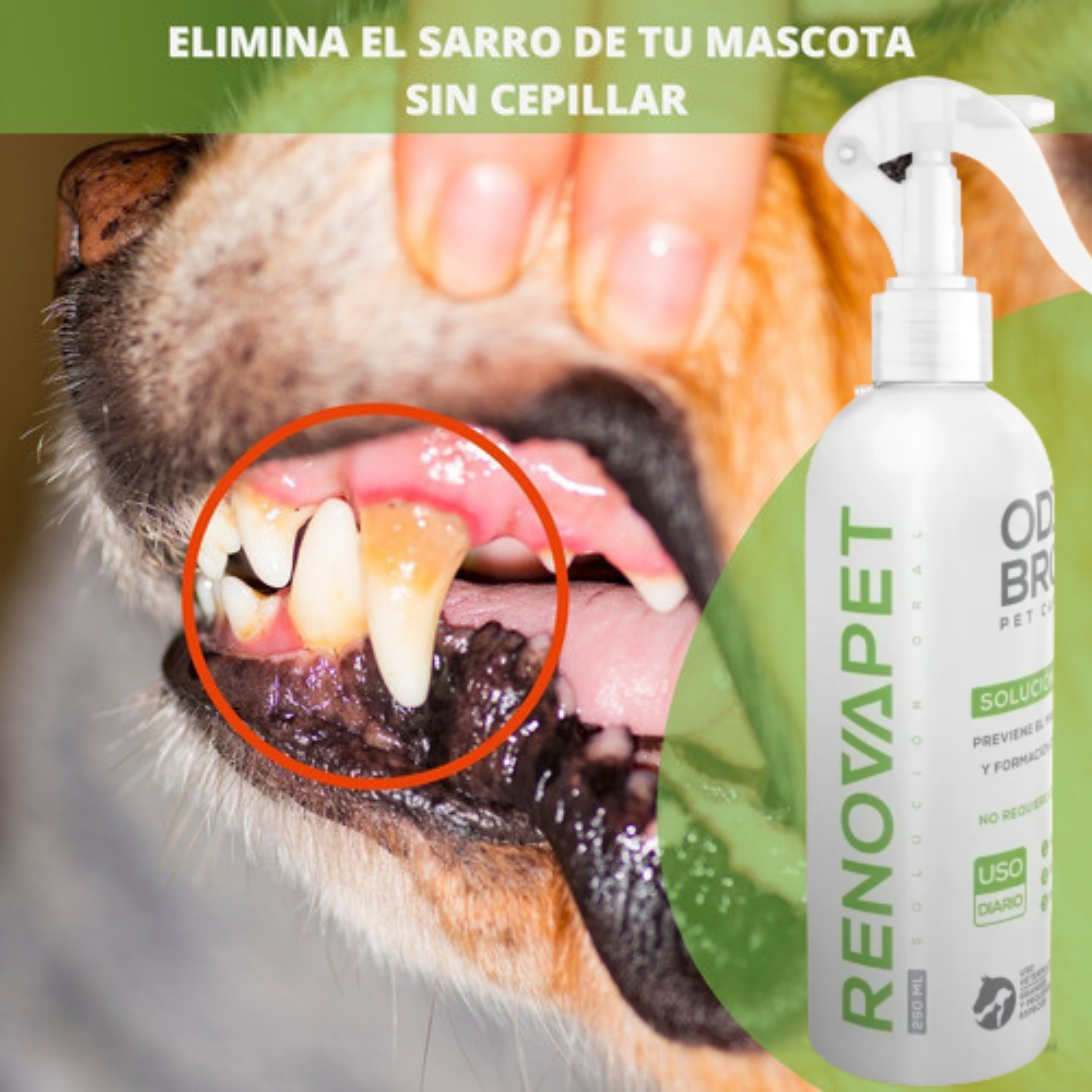 Pague 2 Espuma limpiadora y desinfectante para patas de perros y gatos  y Lleve GRATIS 1 Renovapet Oral