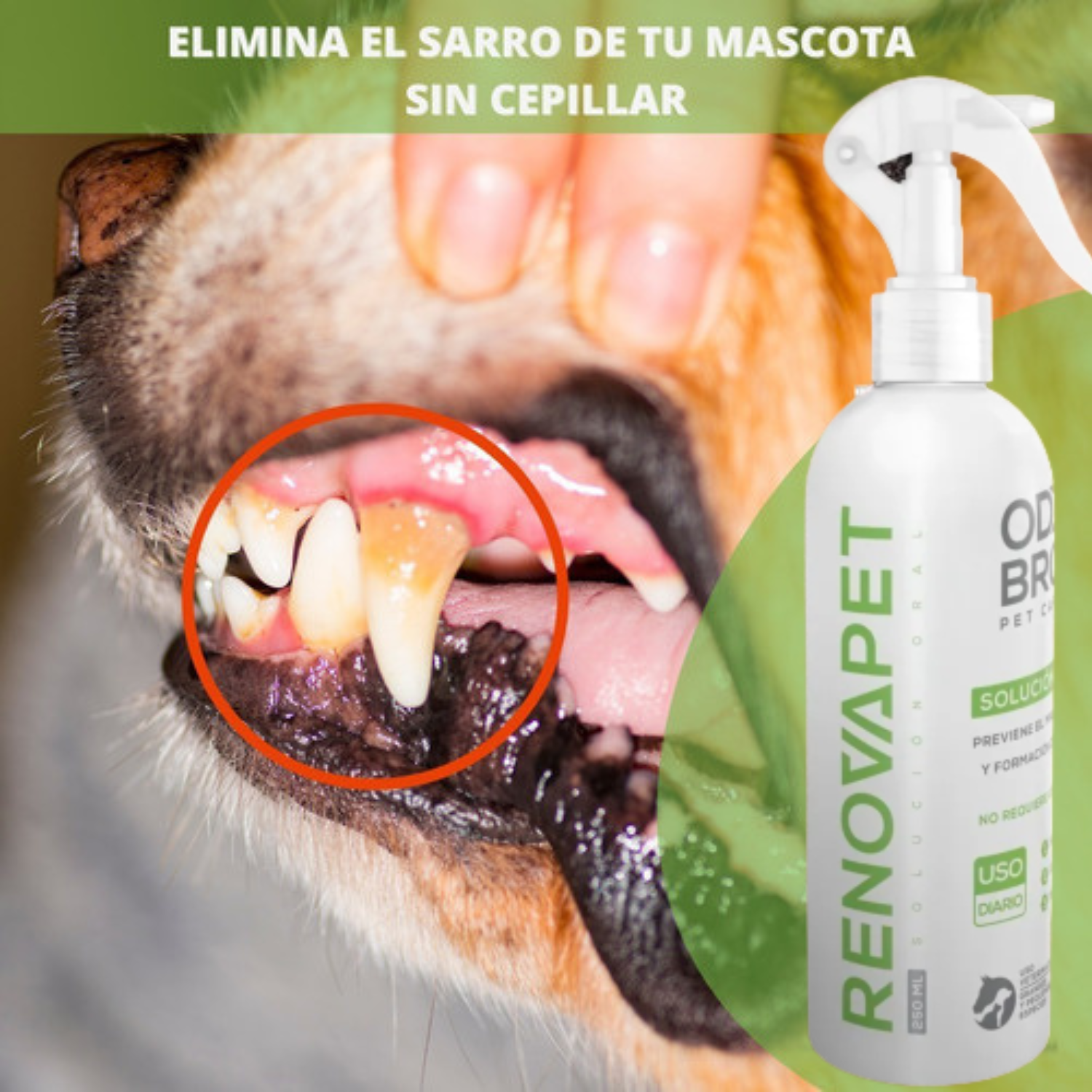 Pague 2 Espuma Limpiadora y Lleve GRATIS 1 Renovapet Oral + 2 Toallas Limpiadoras